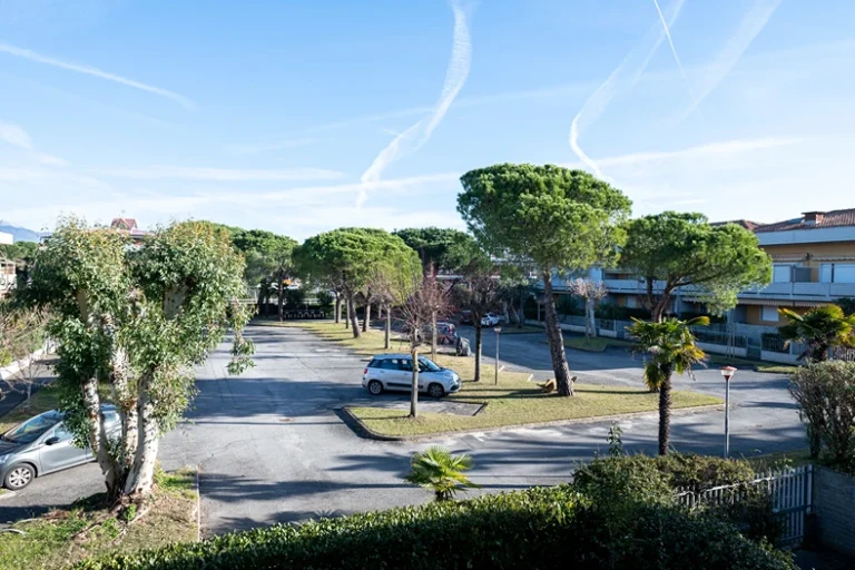 Vista de un estacionamiento al aire libre con varios autos y árboles altos. Edificios residenciales alrededor, cielo azul con estelas de aviones.