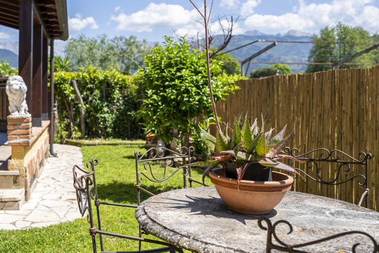 Jardín con mesa de metal, planta en maceta, león de piedra, seto verde, cielo azul y montañas al fondo.