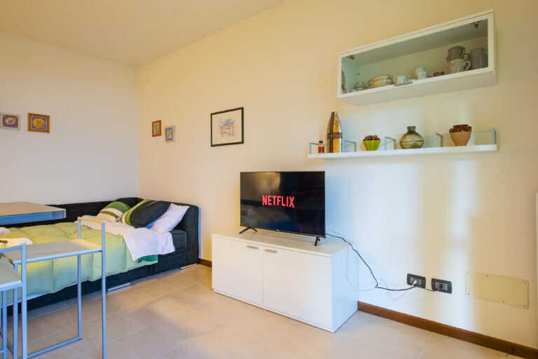Sala moderna con cama, televisor encendido en Netflix, estante con platos y jarrones decorativos. Pared con cuadros pequeños.
