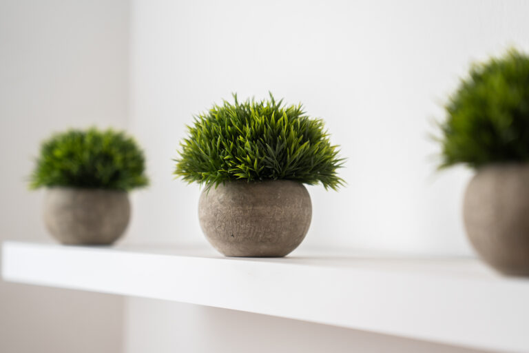 Tres macetas esféricas de cemento con plantas verdes brillantes sobre una repisa blanca en un entorno minimalista.