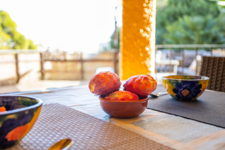 Frutas de cactus en un tazón marrón sobre mesa con manteles individuales. Fondo desenfocado de terraza y vegetación.